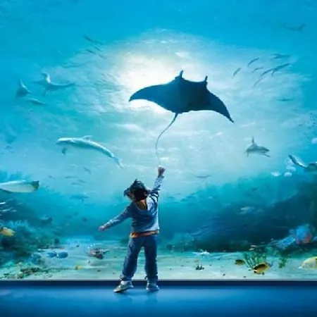 A 2 Passi Dal Centro