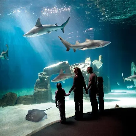 A 2 Passi Dal Centro